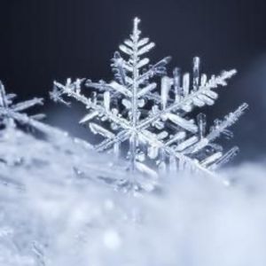 Meet your Posher, Phedra